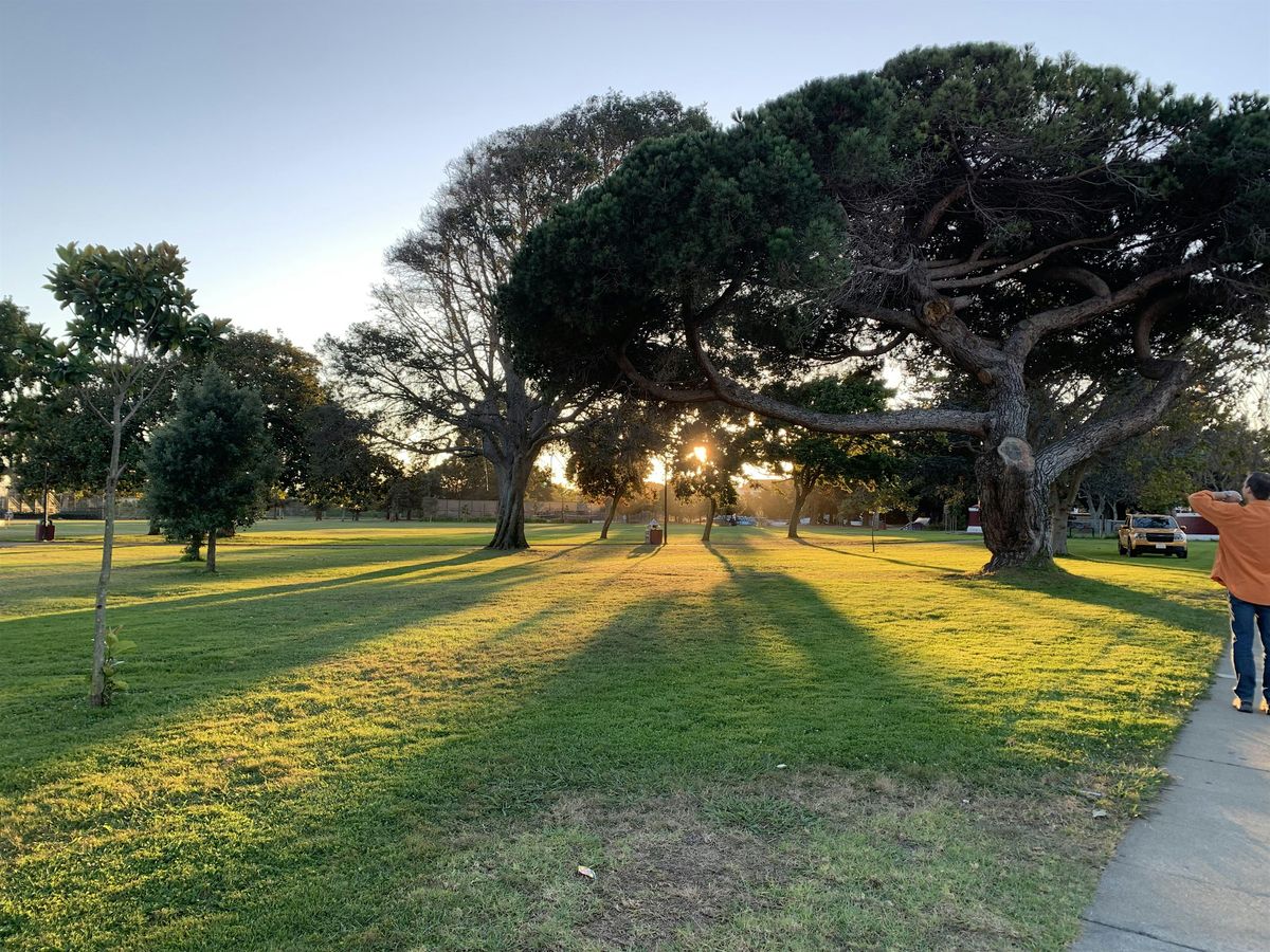 Harmony Walk In The Park
