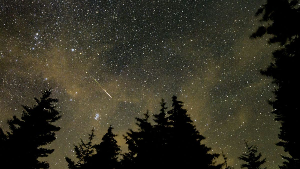 Eta Aquariid's Meteor Shower 2025