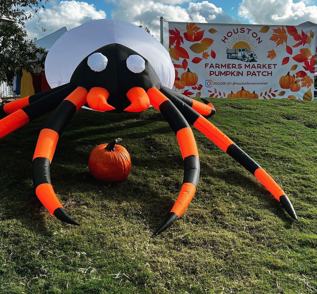 PUMPKIN PATCH AT HOUSTON FARMERS MARKET 