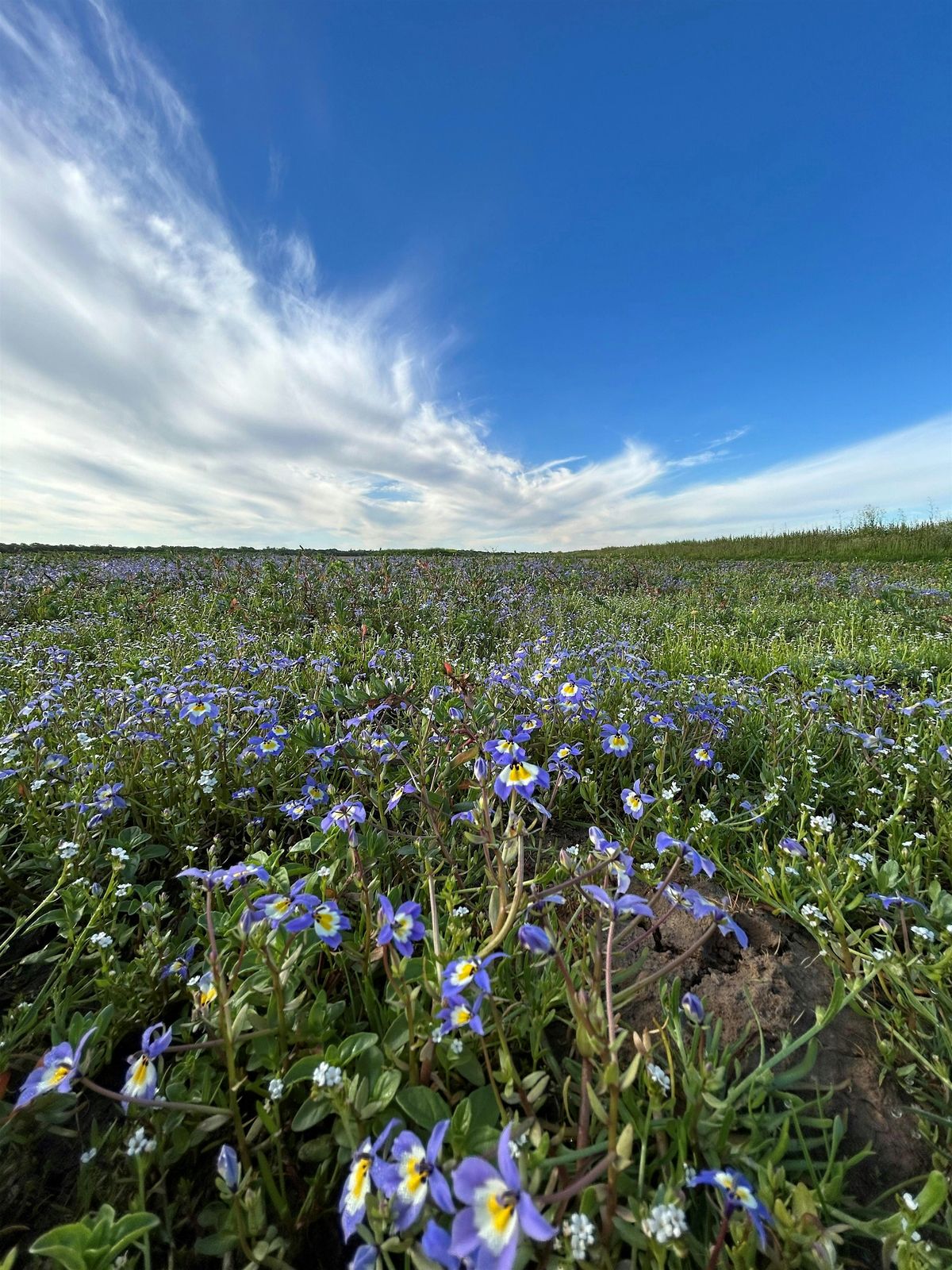CRP Speaker Series - Seeds of Success by Rosalind Rowe
