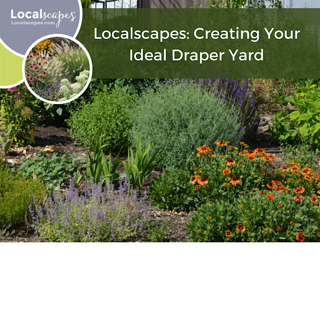 Localscapes: Creating Your Ideal Draper Yard