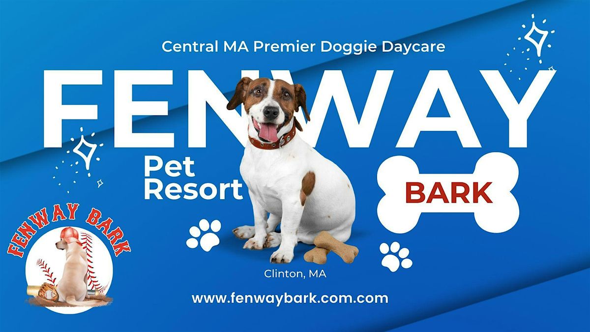 Doggy Open Play