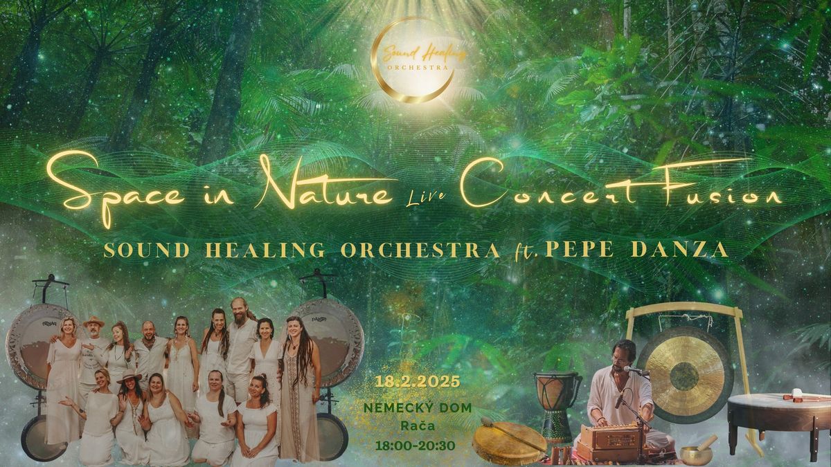 Sound Healing Orchestra & Pepe Danza 