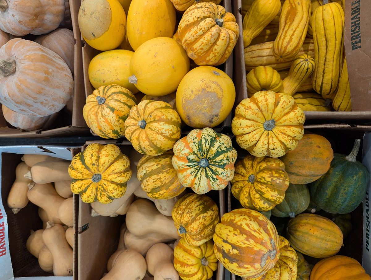 Recipe Swap Series: Winter Squash