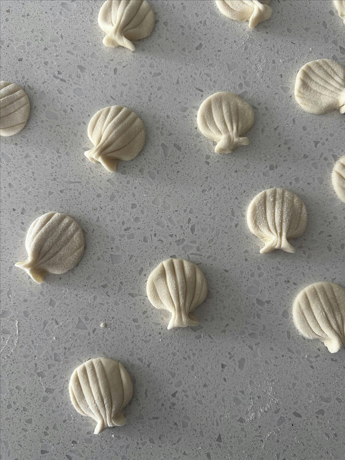 Seashell Pasta Workshop