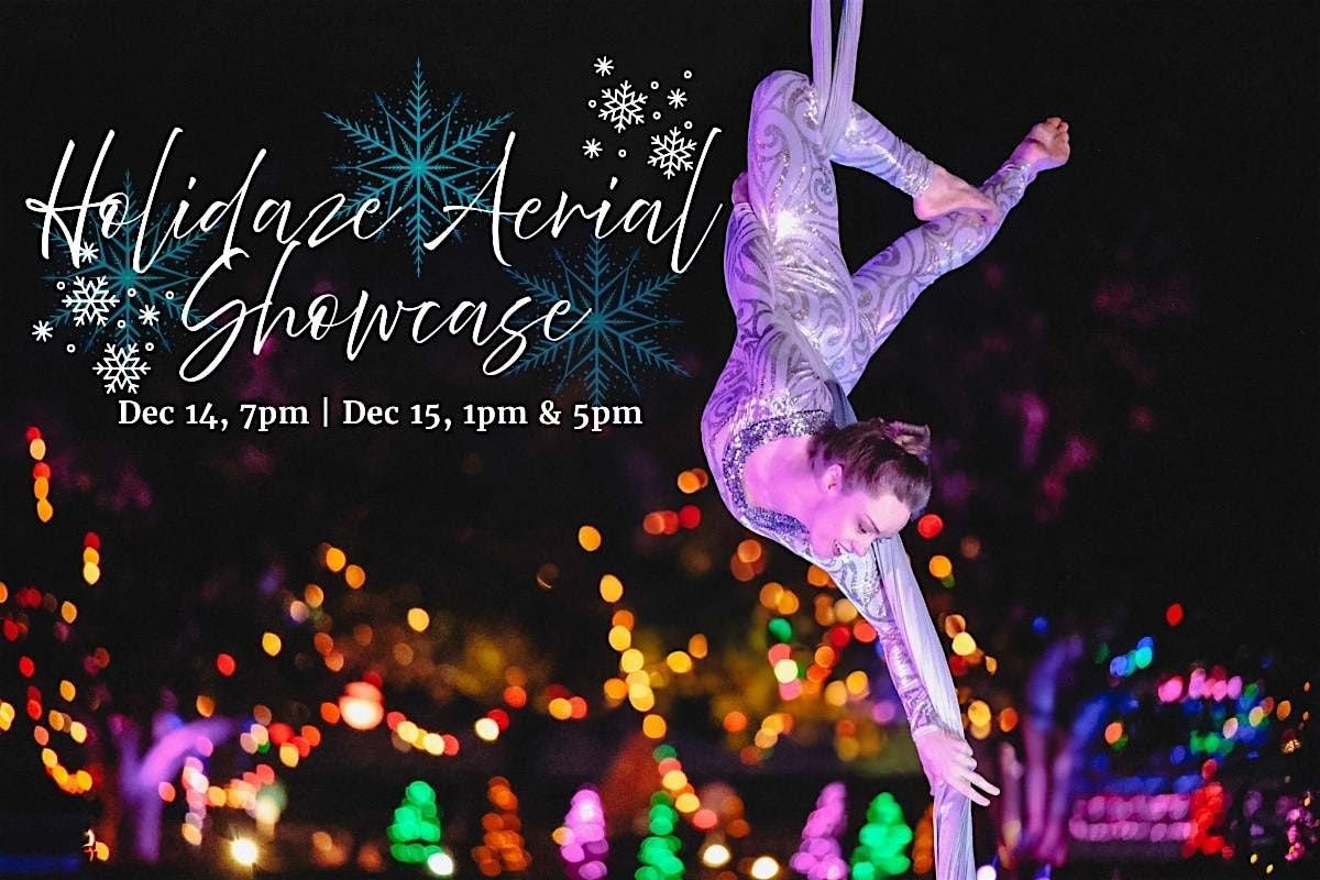 Holidaze Aerial Student Showcase