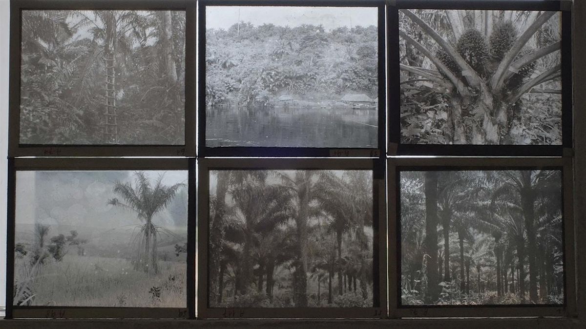 SATURDAY 20 SEPTEMBER | 17:30 | SCREENING | POST-COLONIAL