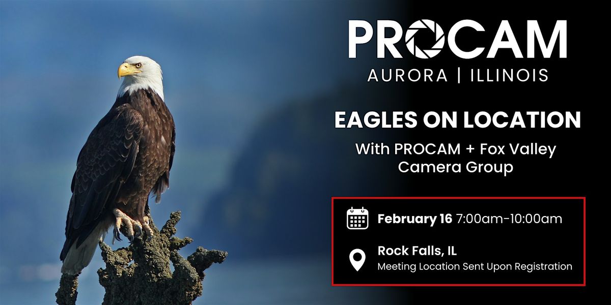 Eagles on Location with PROCAM Chicago + Fox Valley Camera Group