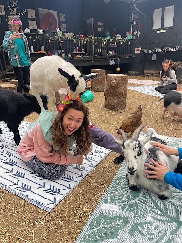 GOAT YOGA at the Fit Inn FUNNY FARM