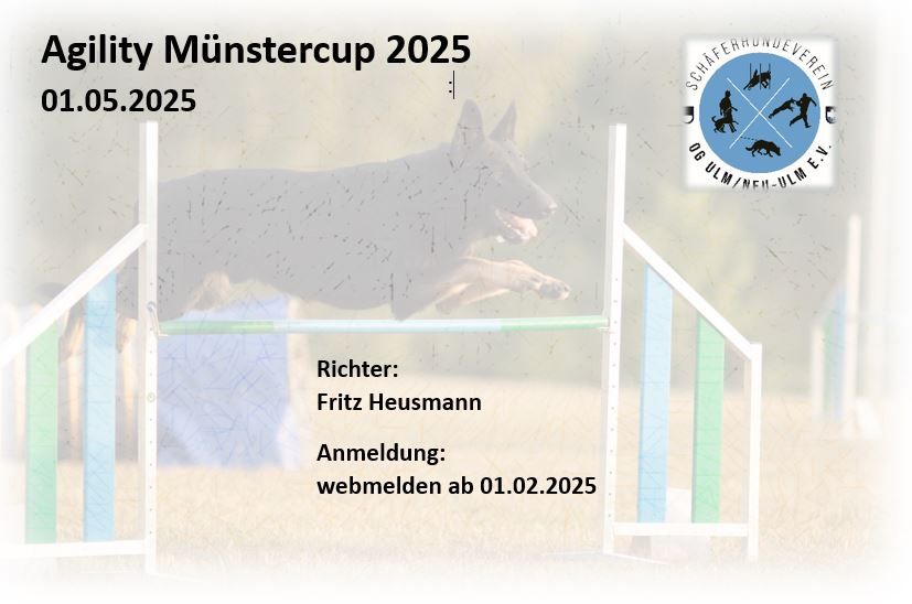 Agility Turnier Ulmer M\u00fcnster Cup 2025