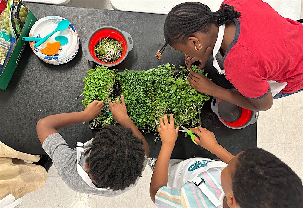 What The Sprout? -- Vertical Garden & Agriculture Learning Program