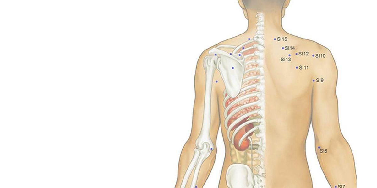 Take Home TCM: Head, Neck & Shoulder Acupressure