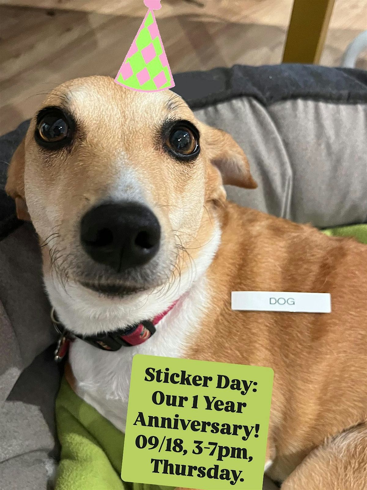 Sticker Day (Our 1 Year Anniversary!)