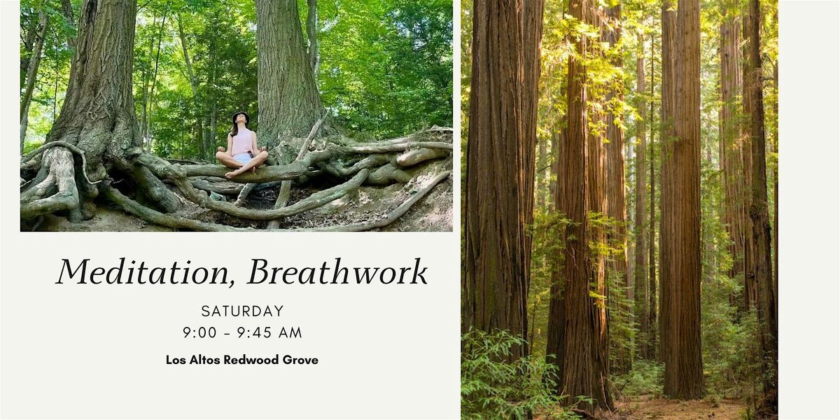 Guided Meditation & Breathwork