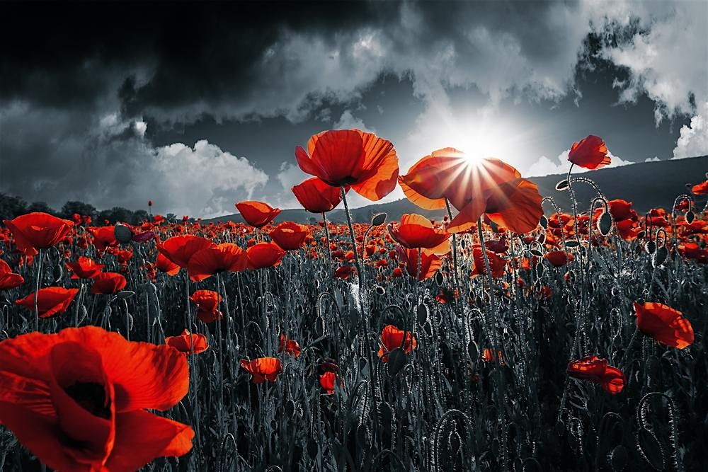 Remembrance - The Armed Man, and Requiem for the Living