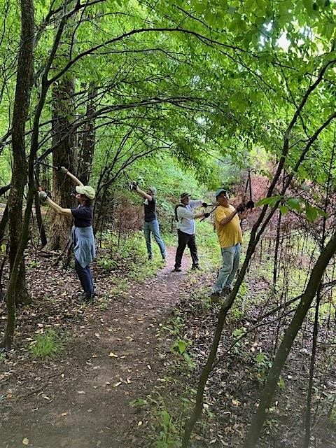 Reforestation Preparation at the Confluence Natural Area