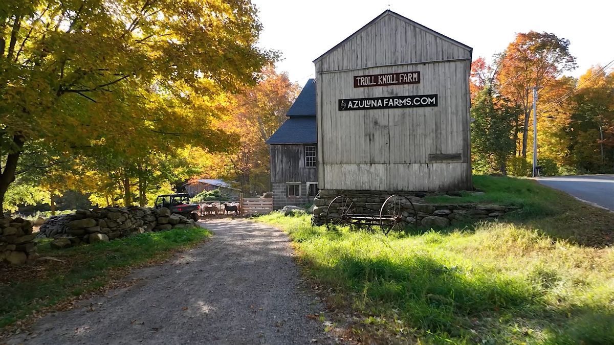 Visit Azuluna Farms in October!
