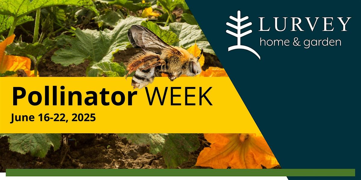 Pollinator Week Email National Pollinator Week 2025 Finale, Lurvey Center, Des Plaines, 22 ...