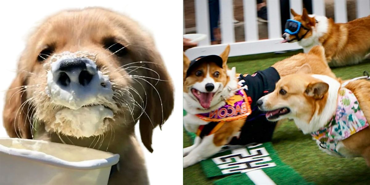 Pup Festival FREE dog event at Tempe Marketplace JAN 17!