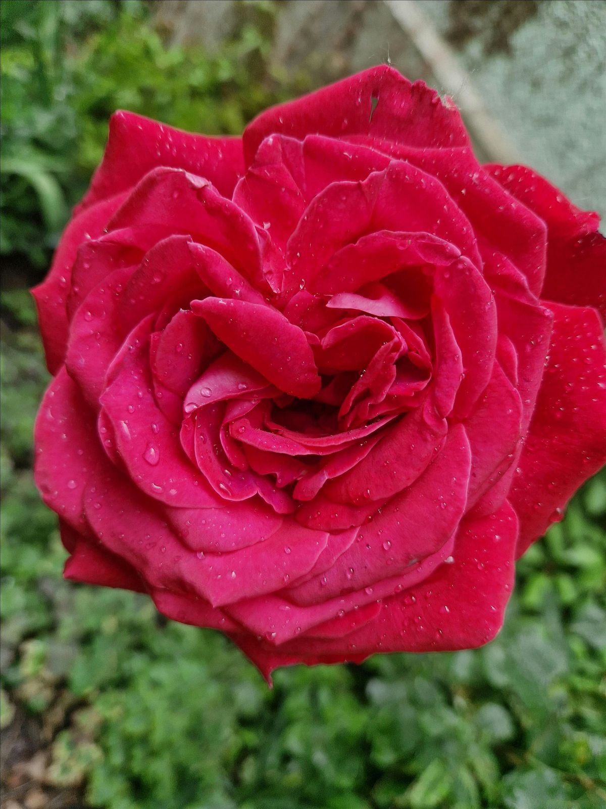 Divine Feminine Circle