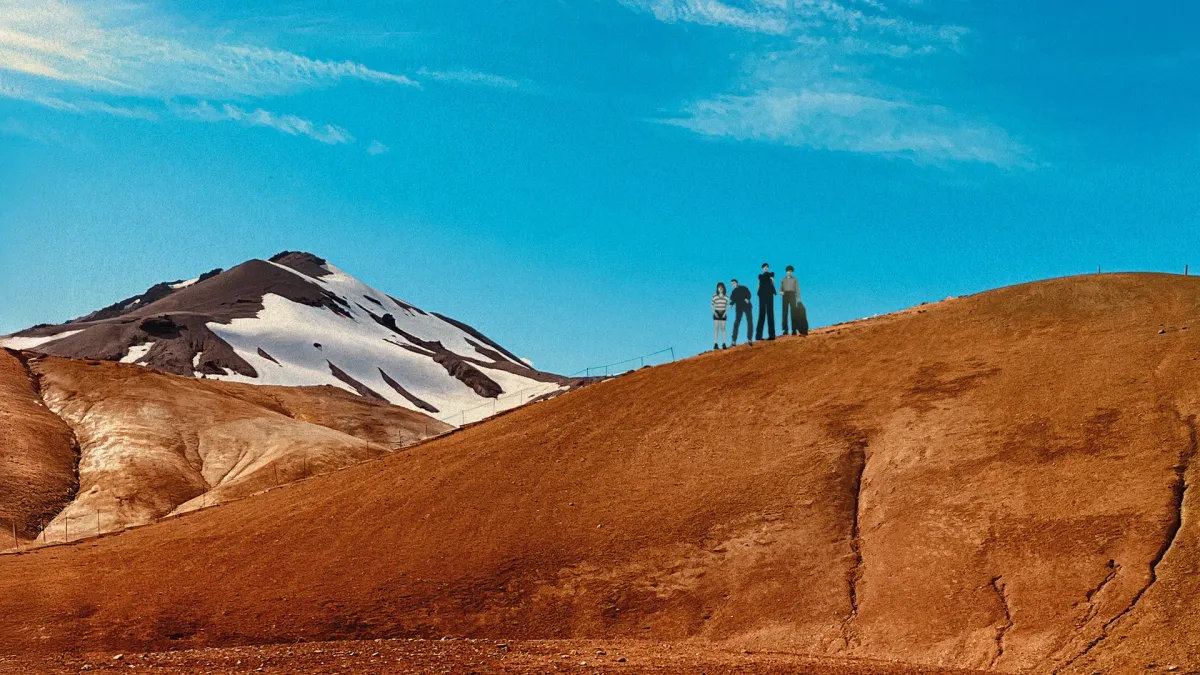 Pulp in Waitemat\u0101