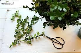 Fresh Holiday Boxwood Tree - Make and Take Class