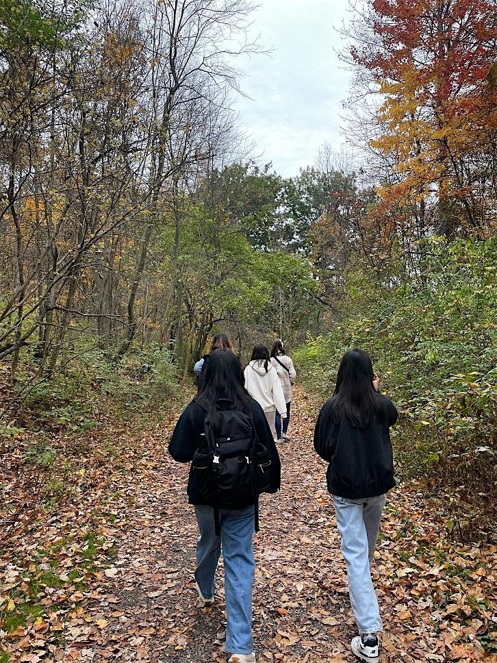 Walk in Nature
