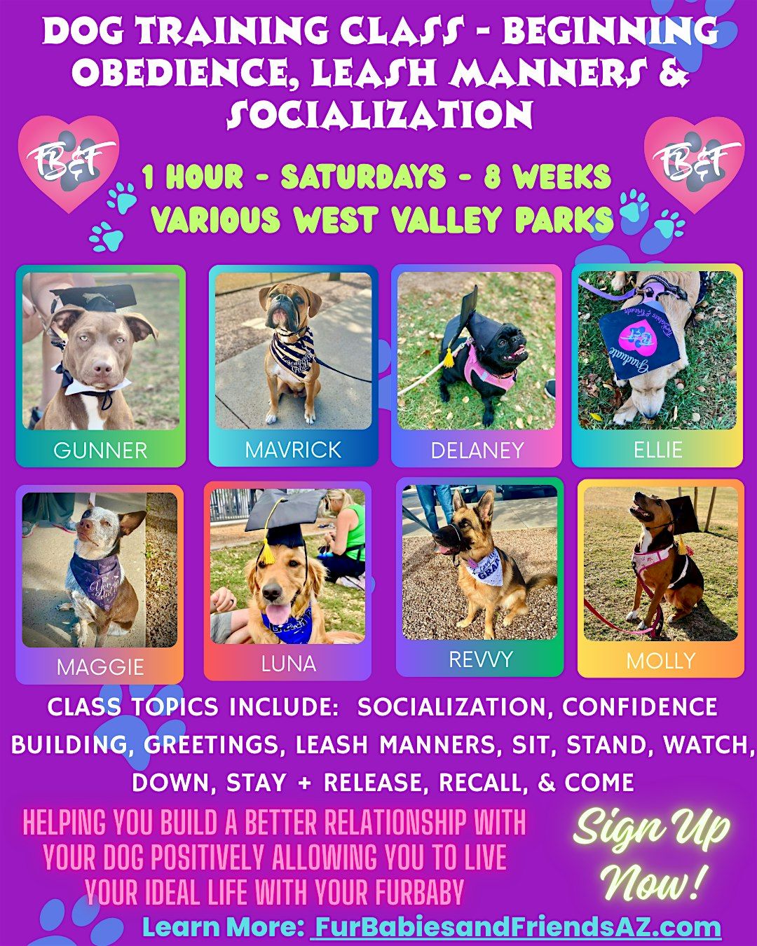 Dog Training Beginner Obedience and Leash Manners Group Class - Glendale,AZ