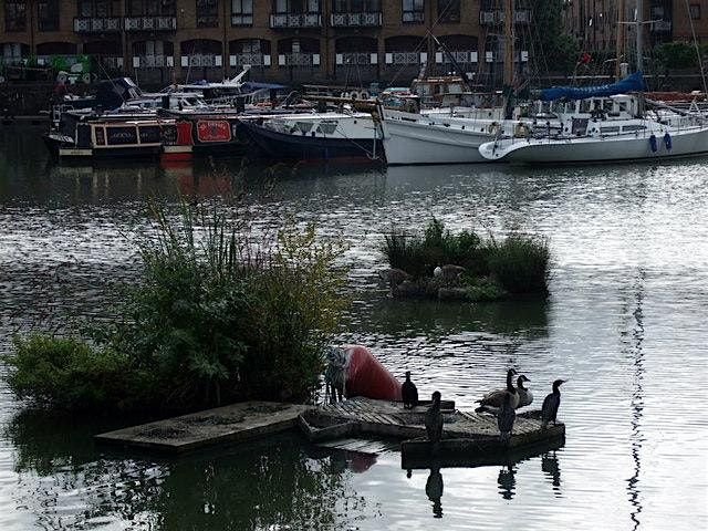 Blackheath Society, Walk & Talk: A Canal Walk
