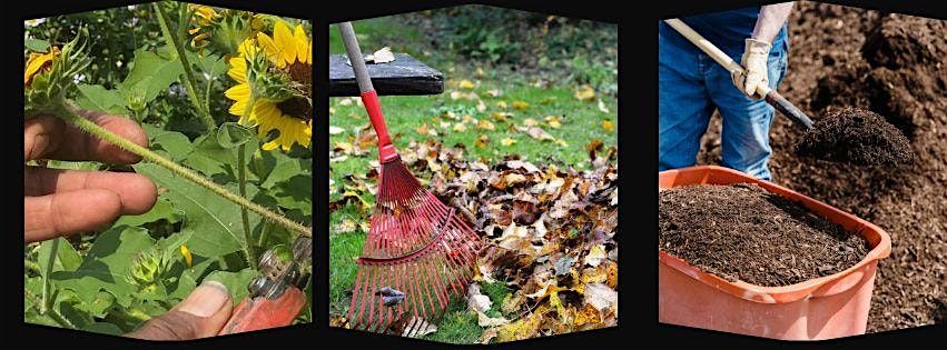 Putting Your Garden to Bed