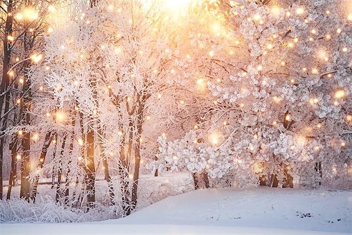 IWIRC Virginia Holiday Party