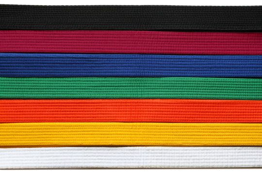 Quarterly Color Belt Test