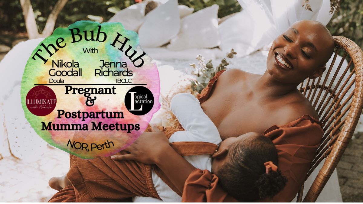 The Bub Hub: Pregnant & Postpartum Meetups