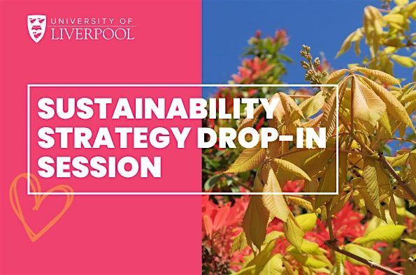 Sustainability Strategy Drop-in Session - 27 February Sustainability Week