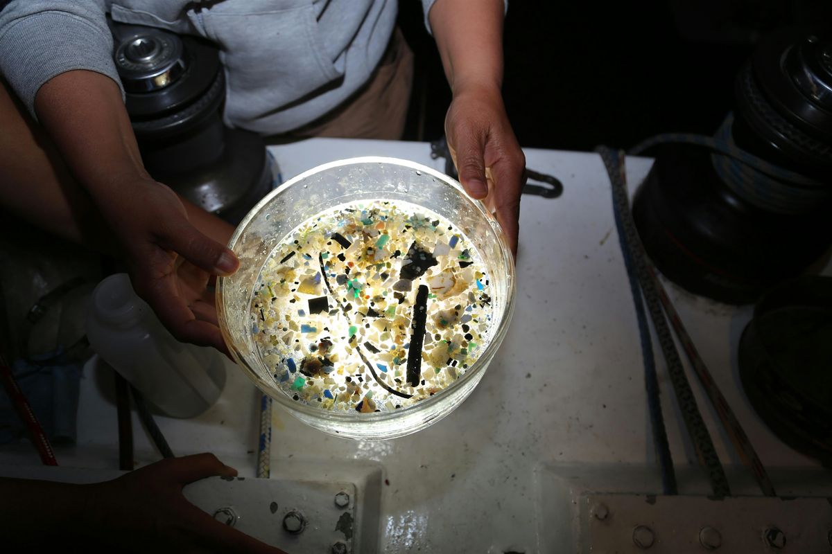 Talking Trash with Dr. Cowger: From Pollution to Prevention