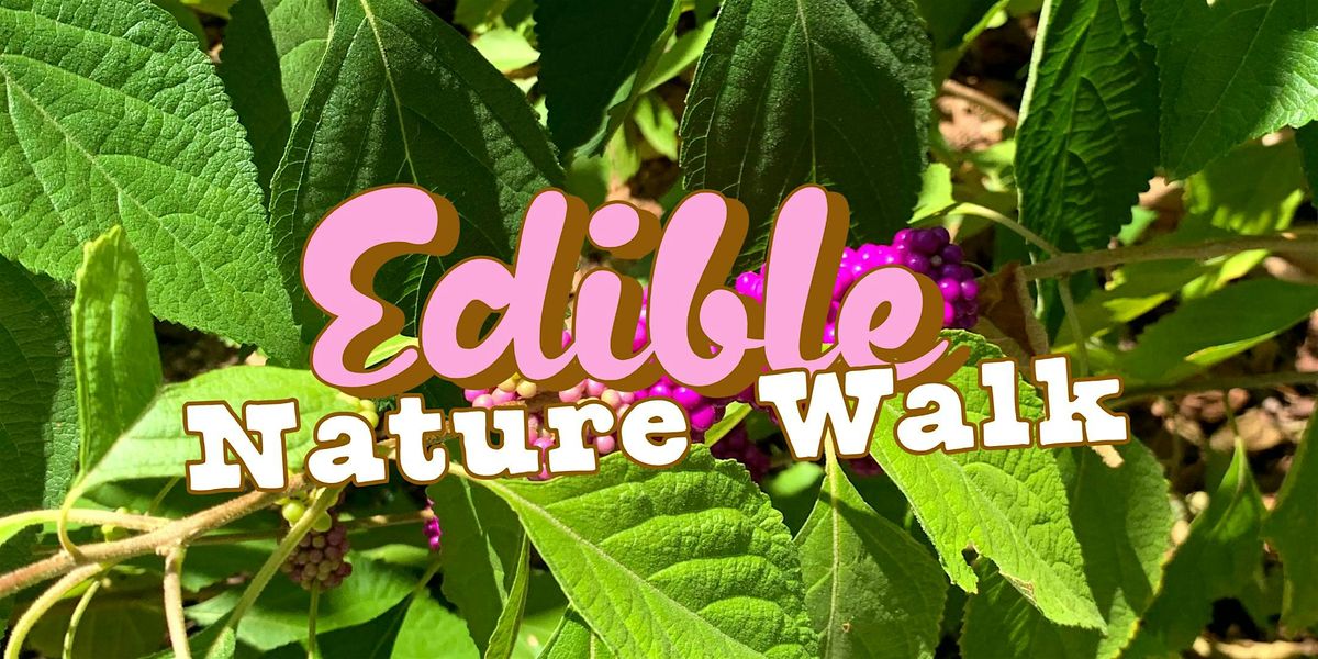 Edible Nature Walk with Ranger Jonah