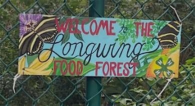 EXPLORE AN URBAN FOOD FOREST