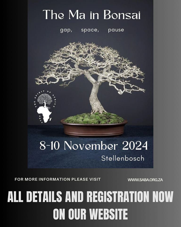 6th African Bonsai Convention