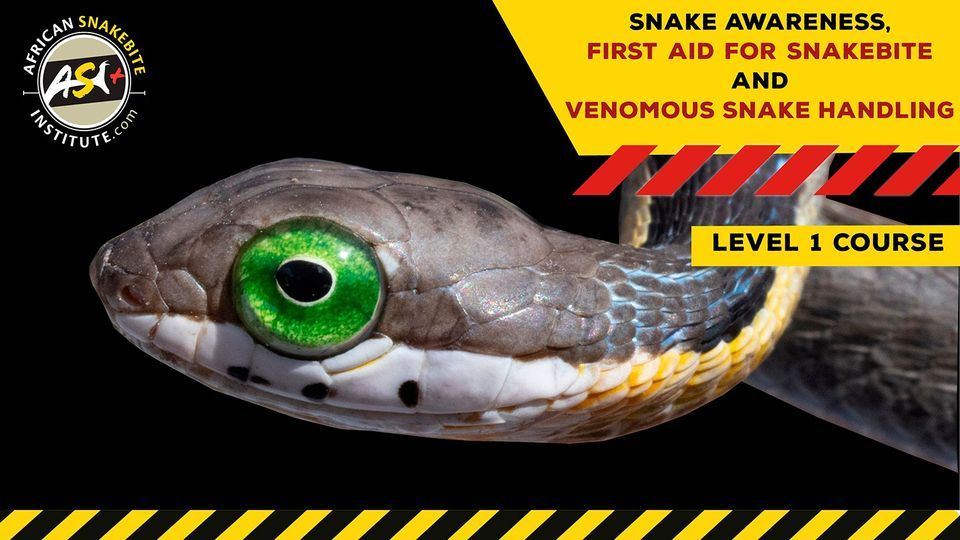 Snake Awareness First aid for Snakebite, Venomous Snake Handling