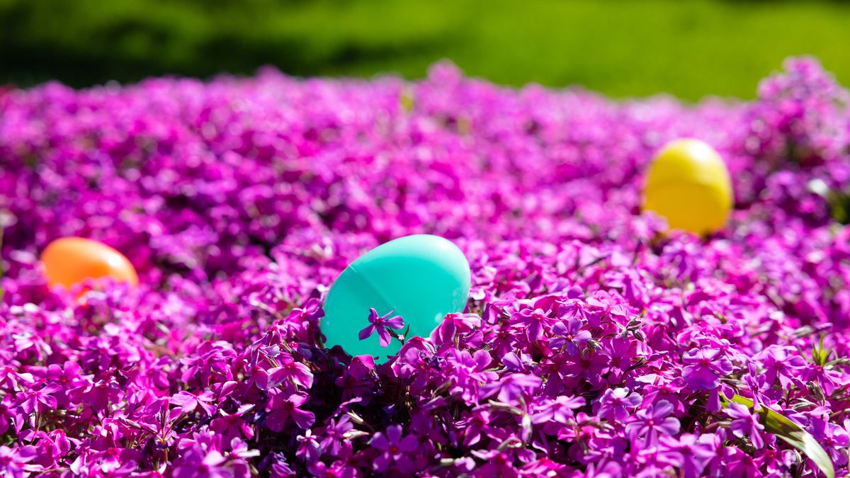 Titusville Congregation Easter Activity