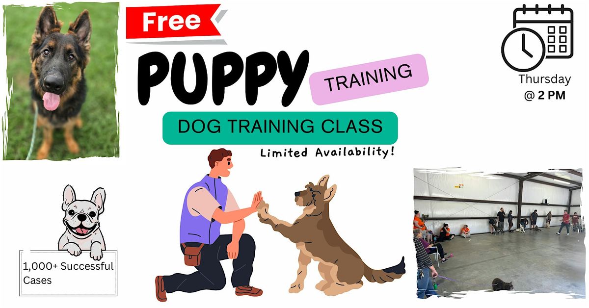 Puppy Training (FREE Dog Training Class)