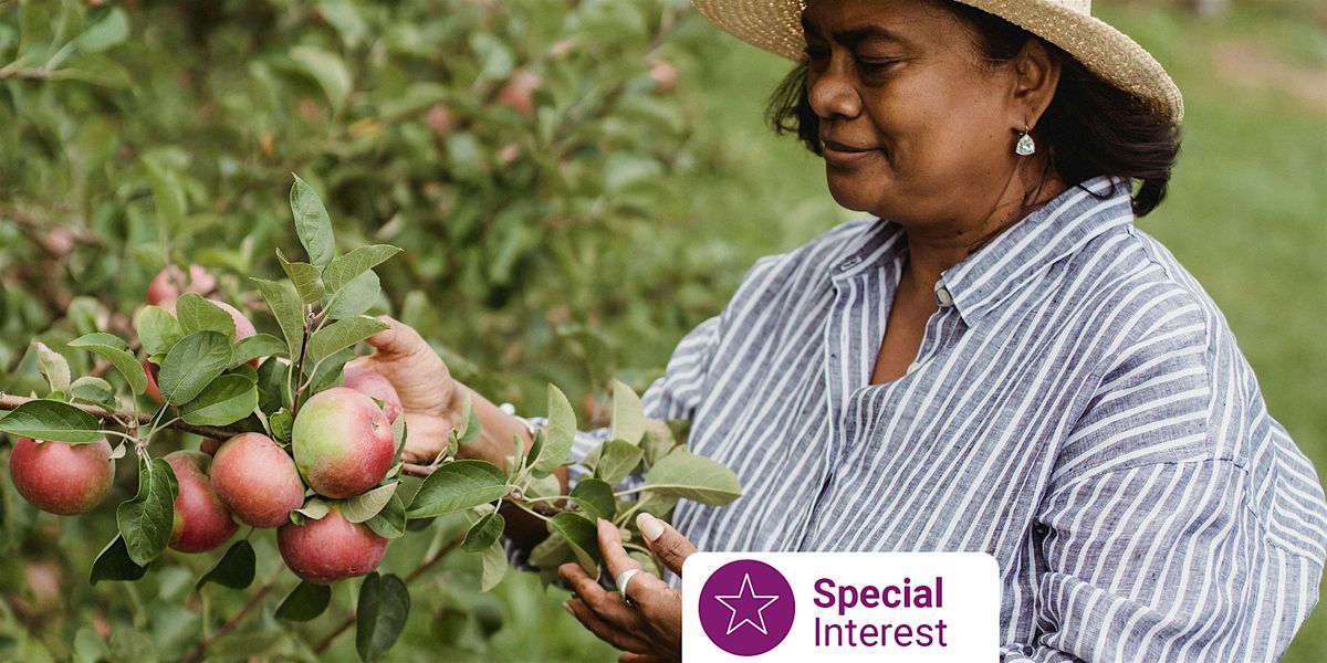 Libraries After Dark: Active Ageing through Gardening