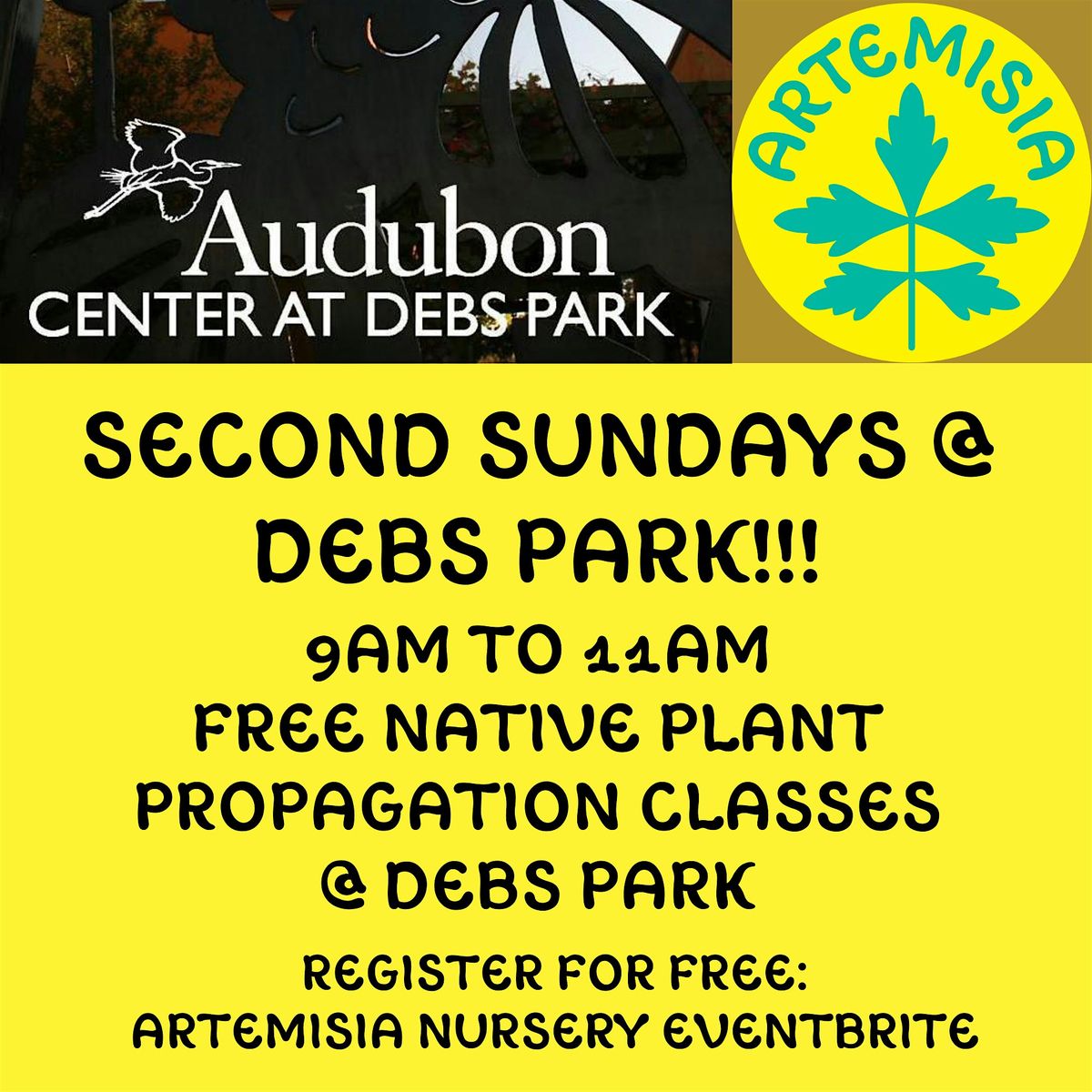 Debs Park Second Sundays! Free Native Plant Seed and Propagation Classes