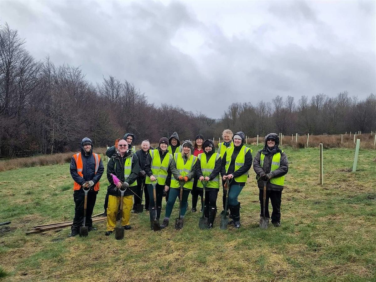 NATIONAL TREE WEEK Tree Planting in Blackburn Oswaldtwistle