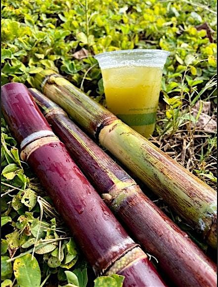 KualoaGrown Sugarcane Juice + Partner Farm Pop-Up Event