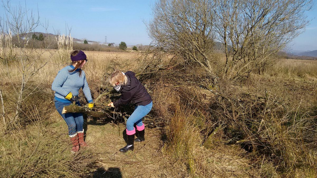 Crymlyn Burrows Conservation Taster Session