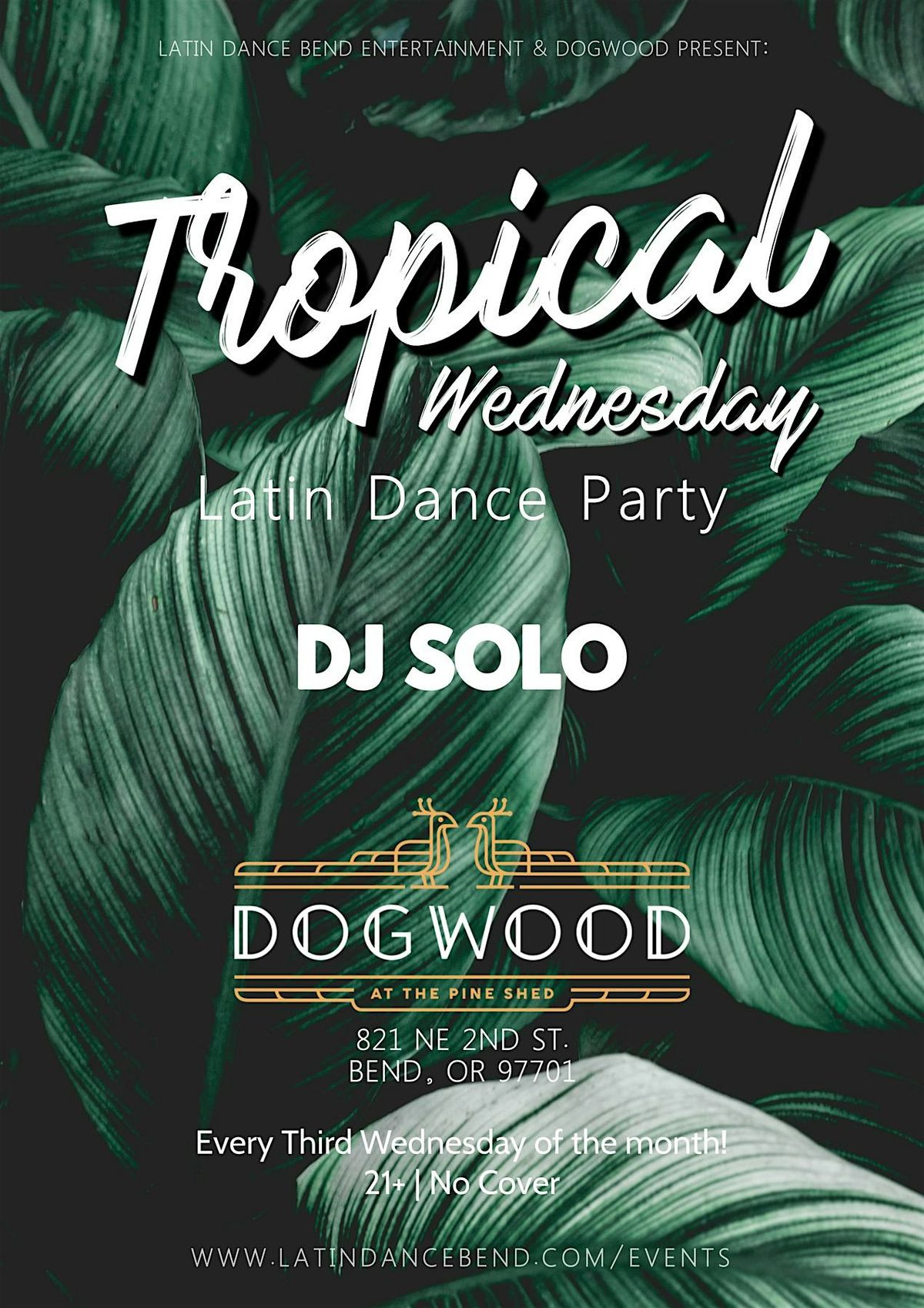 Tropical Latin Dance Party @ Dogwood