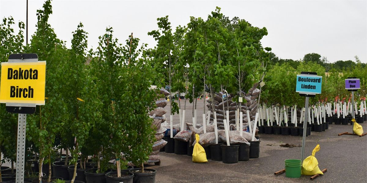 SSP & WSP Tree Distribution