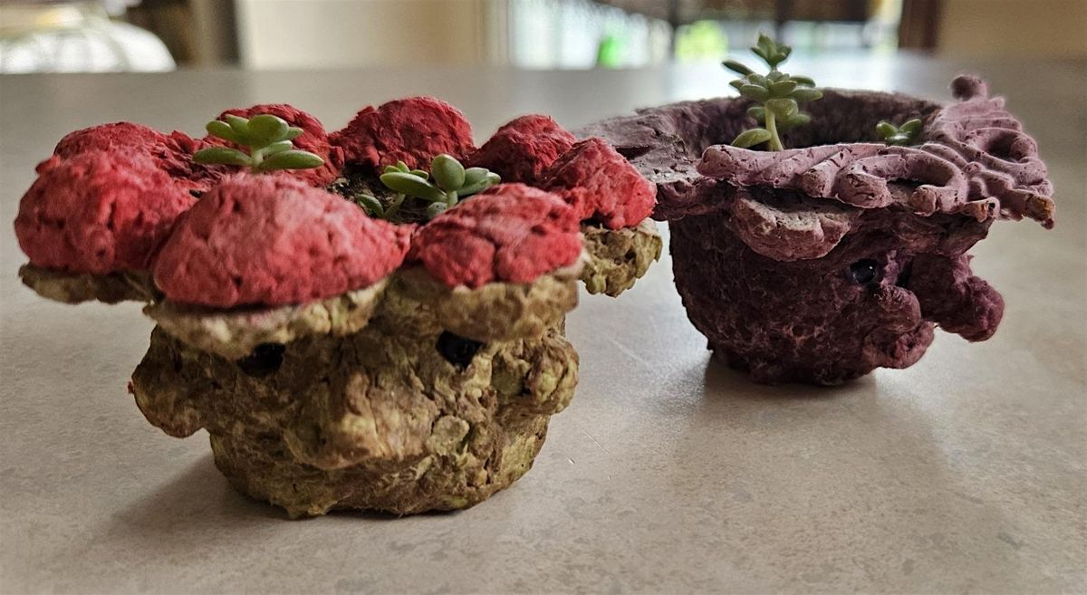 Pretty Little Paper Pots