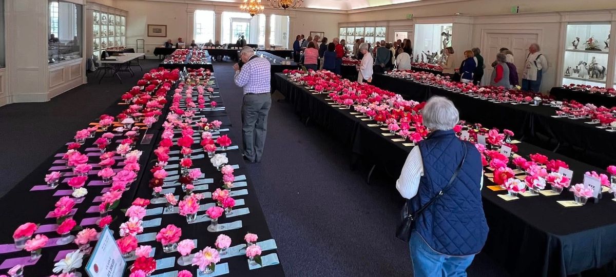 Middle Ga Camellia Society\u2019s Flower Show